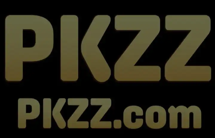 pkzz-game